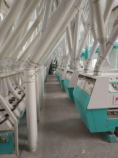 梁山縣新豐面粉廠 品質為基，誠招全國經銷商與國內貿易代理